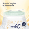 Picture of Royaldream Diaper Sample